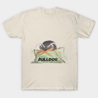 Bulldog Ant T-Shirt